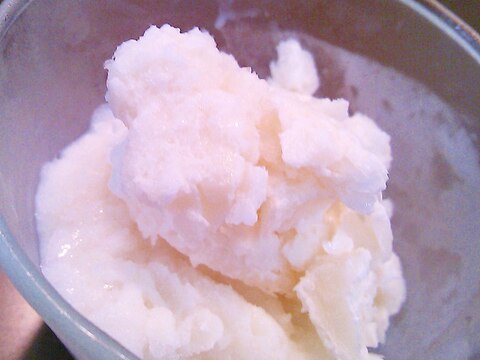 【糖質制限】ココナッツミルクアイス